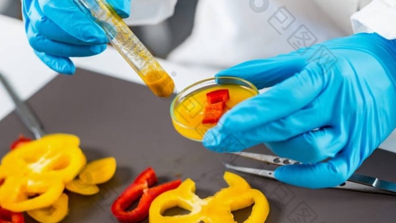 食品代加工公司的报价单通常包含以下几个部分：